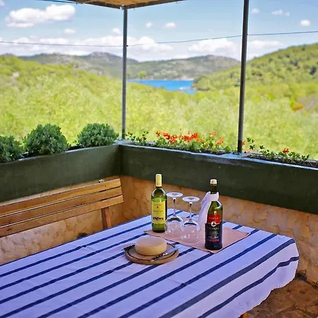 Holiday Telascica - Uvala Jaz 8141 Prázdninový dům